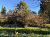 Terrain à bâtir à Carnoules (83660) 2446142-4866annonce220260303Bx6O8.jpeg Maisons France Confort