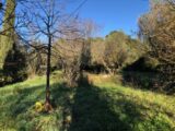 Terrain à bâtir à Carnoules (83660) 2446087-4866annonce220260303RV7OJ.jpeg Maisons France Confort