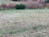 Maison à construire à Saintes (17100) 2445919-10974annonce120260303Ct4fu.jpeg Maisons France Confort