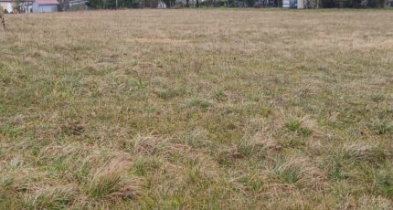 Verteillac Terrain à bâtir - 2433997-9455annonce120260219LE9eH.jpeg Maisons France Confort