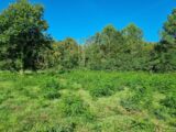 Terrain à bâtir à Saint-Médard-en-Jalles (33160) 2491119-11726annonce120260421CvXI6.jpeg Maisons France Confort