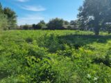 Terrain à bâtir à Saint-Médard-en-Jalles (33160) 2491119-11726annonce220260421e4fPN.jpeg Maisons France Confort