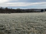 Terrain à bâtir à Jussac (15250) 2500574-3828annonce320260106QtyqH.jpeg Maisons France Confort