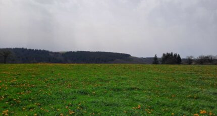 Roannes-Saint-Mary Terrain à bâtir - 2500594-6000annonce320260105cfzF1.jpeg Maisons France Confort