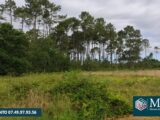 Terrain à bâtir à Saint-Yaguen (40400) 2462898-5828annonce120250919PDQfM.jpeg Maisons France Confort