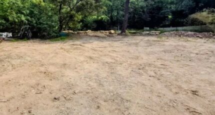 Vidauban Terrain à bâtir - 2501213-10295annonce120260505HDDvh.jpeg Maisons France Confort