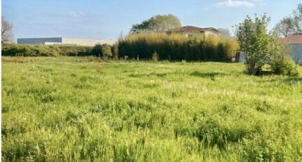 Plaisance-du-Touch Maison neuve - 2490491-11845annonce220260415CLJFi.jpeg Maisons France Confort