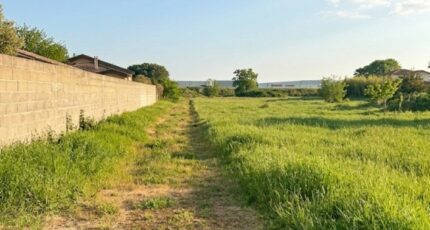 Plaisance-du-Touch Terrain à bâtir - 2485778-11845annonce120260415fsuTL.jpeg Maisons France Confort