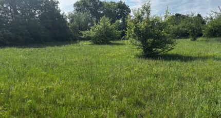 Barjac Maison neuve - 2501668-11001annonce220260505nmLI8.jpeg Maisons France Confort