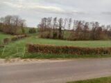 Terrain à bâtir à Tingry (62830) 2414761-11072annonce120260202Jg9cy.jpeg Maisons France Confort