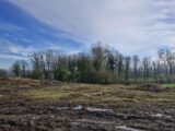 Terrain à bâtir à Carly (62830) 2415457-11072annonce120260202Wnapx.jpeg Maisons France Confort