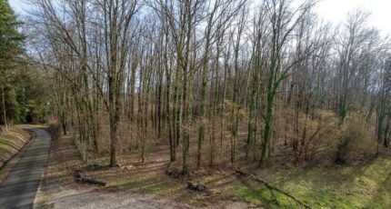 Thénioux Maison neuve - 2501765-11209annonce120260505APZru.jpeg Maisons France Confort