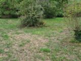 Terrain à bâtir à Saint-Quentin-de-Baron (33750) 2501990-11266annonce120260505eTAD7.jpeg Maisons France Confort