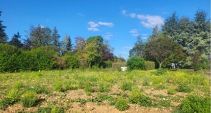 Auffargis Maison neuve - 2502165-10686annonce120260108cTk83.jpeg Maisons France Confort