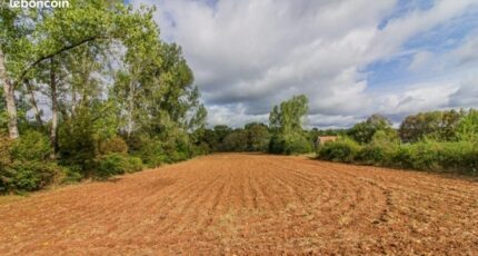 Excideuil Terrain à bâtir - 2396415-11235annonce120260117x8lUx.jpeg Maisons France Confort