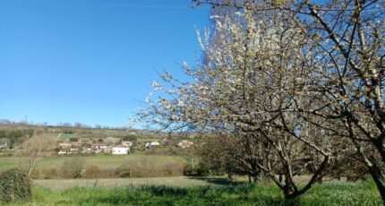 Nérac Maison neuve - 2502114-1086annonce620260505tNvXs.jpeg Maisons France Confort