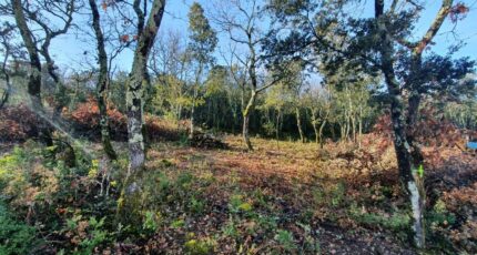 Labastide-de-Virac Terrain à bâtir - 2501535-5100annonce120260505Ow9NK.jpeg Maisons France Confort