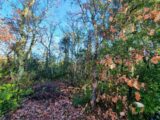 Terrain à bâtir à Labastide-de-Virac (07150) 2501535-5100annonce2202605051QCP7.jpeg Maisons France Confort