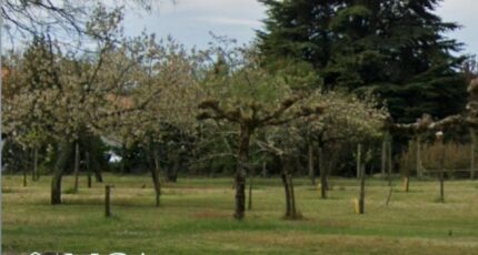 Beautiran Terrain à bâtir - 2443557-3601annonce120260227ZqRe9.jpeg Maisons France Confort