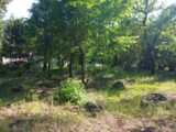 Terrain à bâtir à Néoules (83136) 2502683-5922annonce320260506ZoRxV.jpeg Maisons France Confort