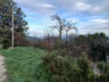 Terrain à bâtir à Cabriès (13480) 2440918-11680annonce4202602255JrvD.jpeg Maisons France Confort