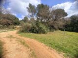 Terrain à bâtir à Saint-Maximin-la-Sainte-Baume (83470) 2470410-11680annonce220260328H1SGe.jpeg Maisons France Confort