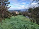 Maison à construire à Cabriès (13480) 2440934-11680annonce120260225MevGy.jpeg Maisons France Confort