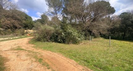 Saint-Maximin-la-Sainte-Baume Maison neuve - 2470414-11680annonce220260328H1SGe.jpeg Maisons France Confort