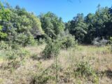 Terrain à bâtir à Néoules (83136) 2503029-11039annonce120260506rH8Ih.jpeg Maisons France Confort