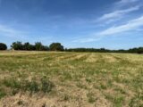 Terrain à bâtir à Vacquiers (31340) 2502028-11356annonce220260505xvRVE.jpeg Maisons France Confort