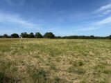 Maison à construire à Vacquiers (31340) 2502125-11356annonce120260505PfmuS.jpeg Maisons France Confort