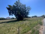 Terrain à bâtir à Médis (17600) 2503633-11452annonce420260506xXWsi.jpeg Maisons France Confort