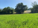Terrain à bâtir à Forest-Saint-Julien (05260) 2452094-3921annonce220260310yR5hA.jpeg Maisons France Confort