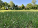 Terrain à bâtir à Forest-Saint-Julien (05260) 2452083-3921annonce320260310K8yO2.jpeg Maisons France Confort
