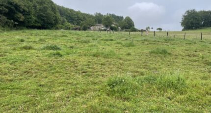 Razès Terrain à bâtir - 2474678-11804annonce120260402z8HTm.jpeg Maisons France Confort