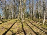 Terrain à bâtir à Ambazac (87240) 2474696-11804annonce120260402sBQnD.jpeg Maisons France Confort