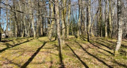 Ambazac Terrain à bâtir - 2474696-11804annonce120260402sBQnD.jpeg Maisons France Confort