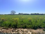 Terrain à bâtir à Chaillé-les-Marais (85450) 2503488-11105annonce220260506LTfIe.jpeg Maisons France Confort