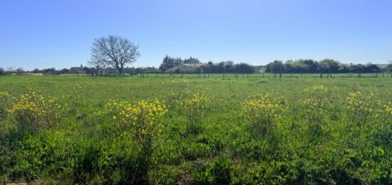 Terrain à bâtir à , Vendée