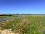 Maison à construire à Auzay (85200) 2503576-11105annonce120260506CXeZX.jpeg Maisons France Confort