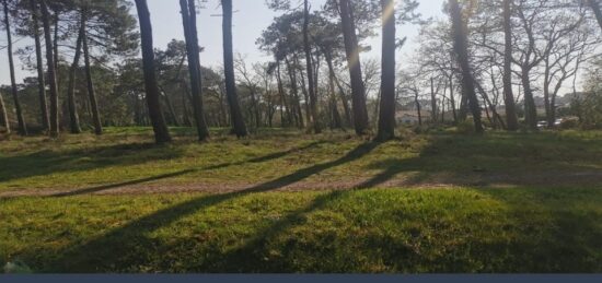 Terrain à bâtir à Audenge, Nouvelle-Aquitaine