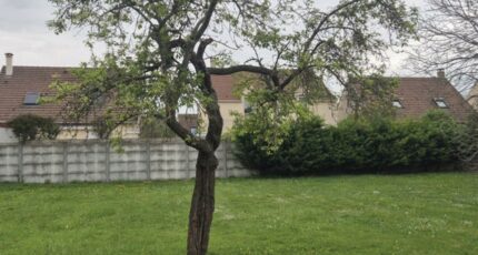 Brie-Comte-Robert Terrain à bâtir - 2504247-4684annonce120260507LKLda.jpeg Maisons France Confort