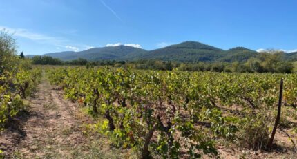 Le Castellet Maison neuve - 2461407-5622annonce320260319dXd3M.jpeg Maisons France Confort