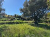Terrain à bâtir à Le Castellet (83330) 2504765-5622annonce120260507aK1Wk.jpeg Maisons France Confort