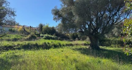 Le Castellet Terrain à bâtir - 2504765-5622annonce120260507aK1Wk.jpeg Maisons France Confort