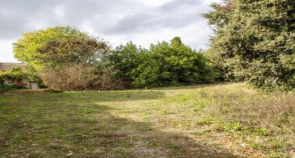 Saint-Branchs Terrain à bâtir - 2405496-10999annonce120260124G8TSf.jpeg Maisons France Confort
