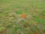 Terrain à bâtir à Lignières-de-Touraine (37130) 2410742-10999annonce120260128O8NoS.jpeg Maisons France Confort