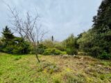 Terrain à bâtir à Carnoules (83660) 2497565-9707annonce320260430T64T1.jpeg Maisons France Confort