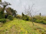 Terrain à bâtir à Carnoules (83660) 2497565-9707annonce420260430GKM4c.jpeg Maisons France Confort