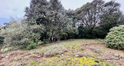 Carnoules Maison neuve - 2497567-9707annonce520260430rTIaI.jpeg Maisons France Confort